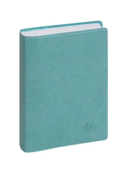 Agenda de poche EasyDay 15 Ondine 10 x 15 cm Journalier Janvier à Décembre 2027 - Couleurs assorties - New