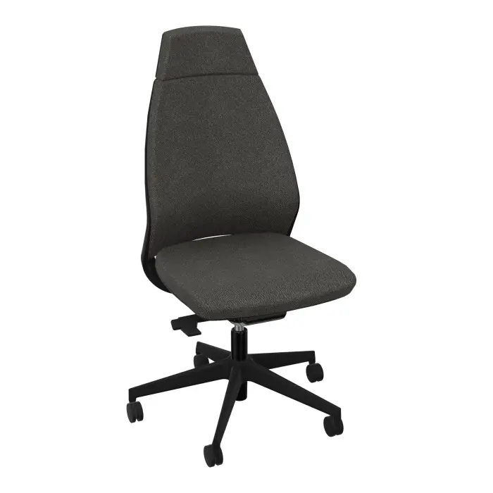 Fauteuils de Direction