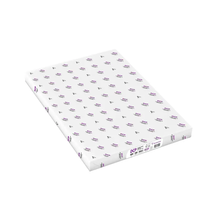 DCP 400G 450X320 RAM 100F ENRAME - ANCIEN DCP