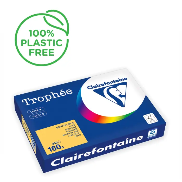 TROPHEE PASTEL A3 160G RAM 250F C.4 - Bouton d'Or