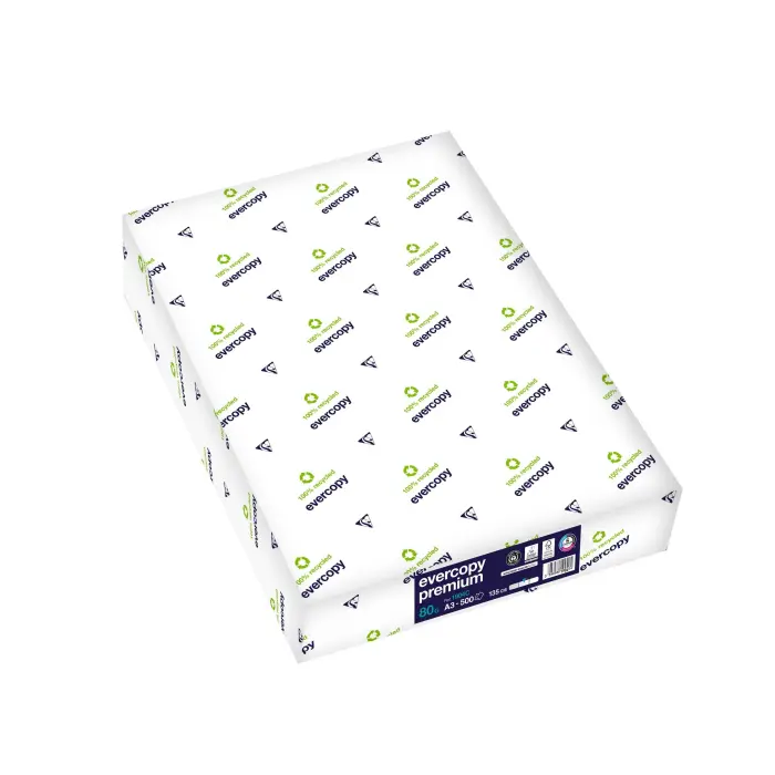 EVERCOPY PREMIUM A3 80G 500F C.5