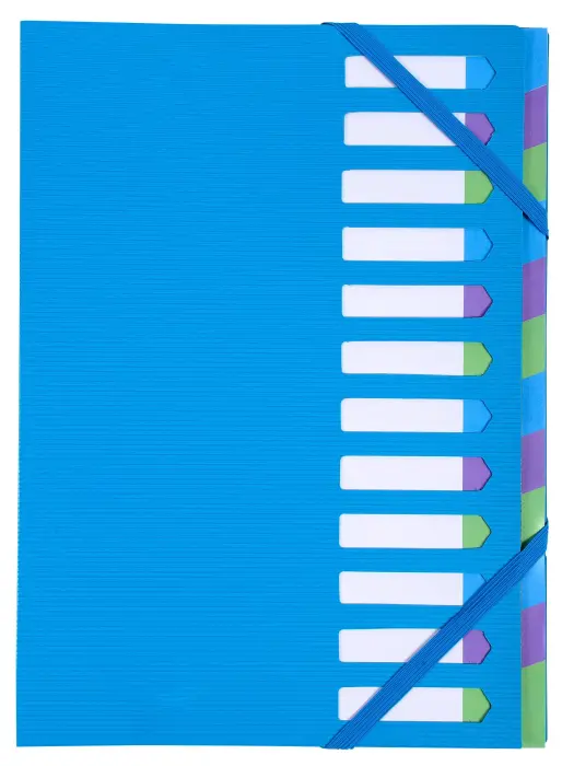 Trieur rigide HARMONIKA® Campus Neon dos extensible 12 compartiments - Bleu