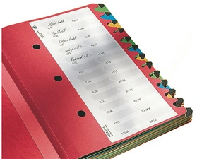 LEITZ Trieur Deskorganizer Color, format A4, 1-24/A-Z, noir