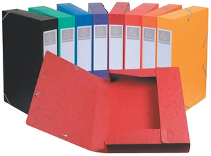 EXACOMPTA Boîte de classement Cartobox, A4, 60 mm, vert