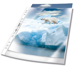 DURTABLE Pochette perforée, A4, PP, transparent