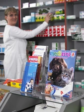 helit Porte-brochures de table "the helpdesk", A4 portrait